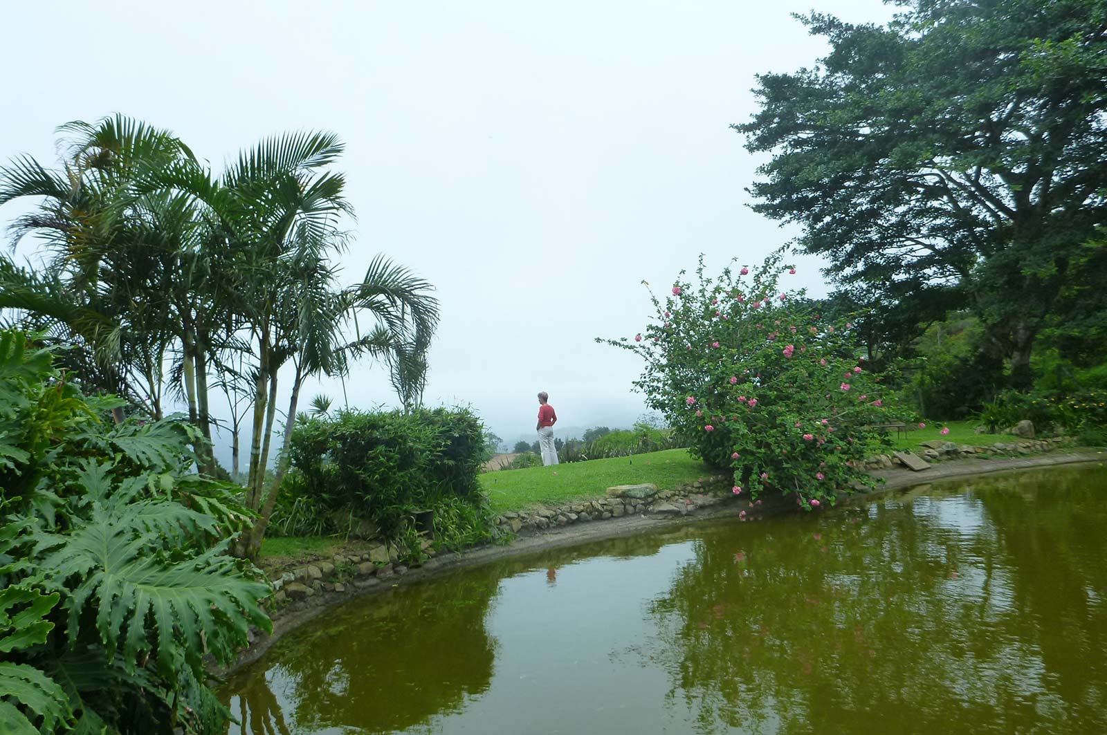 vena view lot for sale in san ramon costa rica, ocean view lot for sale, mountain view lot for sale, buildable lot on gated community in mountains of costa rica, lot with water and electric in costa rica, large lot for sale in central highlands of costa rica.
